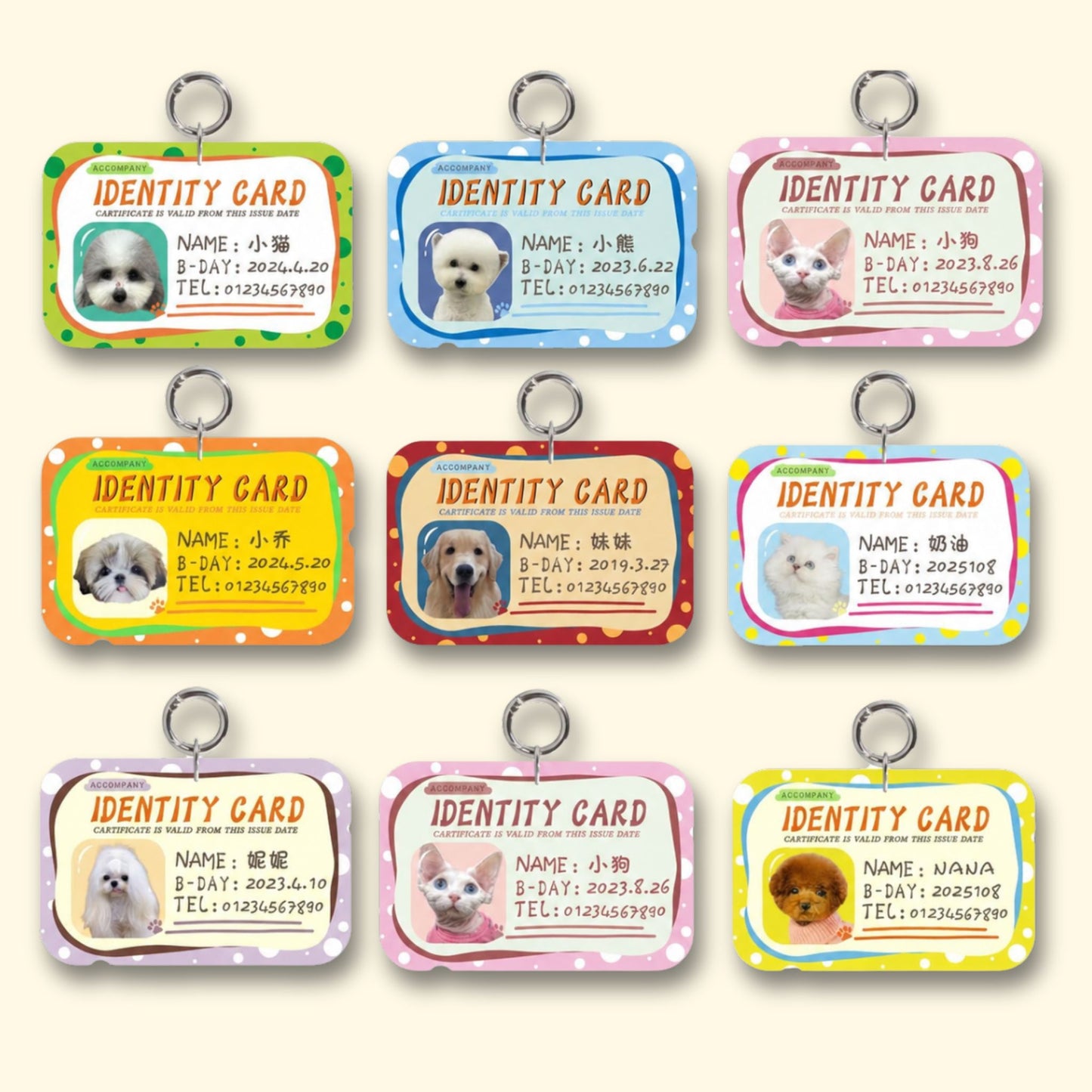Custom Pet ID Tag Collection with Personalization Options, Including Name, Birthday, and Contact Info